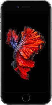 iPhone 6S - PhoneFreedom 365 | Digi Malaysia