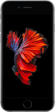 iphone 6s